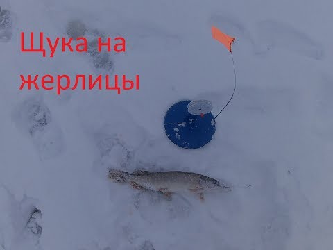 Рыбалка на жерлицы. Щука со льда