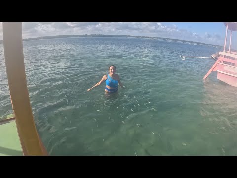 ROTA ECOLÓGICA DOS MILAGRES  Part II .Tatuamunha, Porto de Pedras ALAGOAS