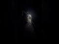 Tunnels of the Oneida Mansion in NY #urbex #history #paranormal