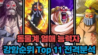 [원피스순위]동물계 열매 능력자 강함순위 Top 11 전격분석