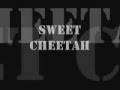 W.A.S.P. - Sweet Cheetah (lyrics) 