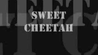 W.A.S.P. - Sweet Cheetah (lyrics)