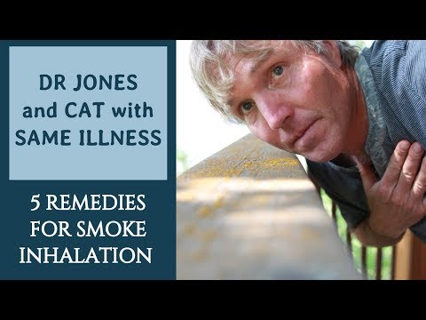 Dr Jones and Cat: Same Illness from Smoke