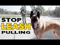 Train Your Dog NOT To PULL On The Leash