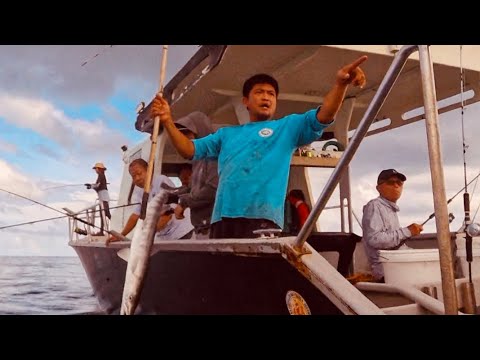 Sedill Sea trip Captain seng15/16-11-2024