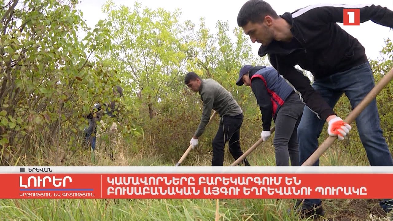 Կամավորները բարեկարգում են բուսաբանական այգու եղրևանու պուրակը