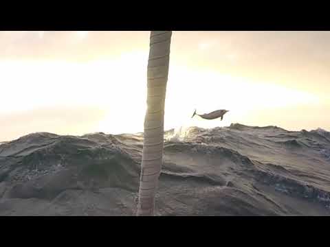 Janus - Robert James  -Oyster 575. ARC + 2019 Leg 1 Las Palmas to Cape Verde