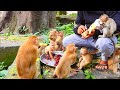 Thank My Friend Vatana Feeds Monkeys Everyone Is Happy