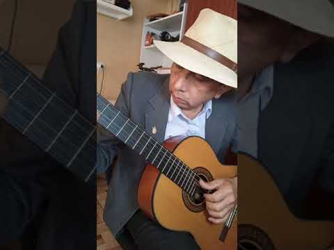 Arbolito Manzano - Guitarra Andina