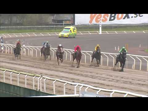 Brazen Brazze (GB) - winning debut at Jägersro, 18th November 2020