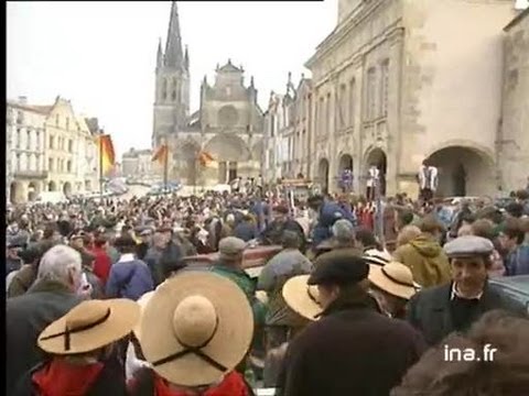 La fête des boeufs gras à Bazas