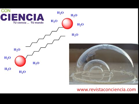 Experimento Burbujas Resistentes
