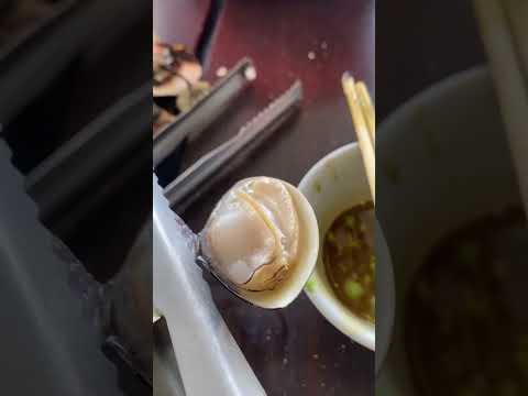 今天來去東石199鮮蚵🦪烤到飽，來看看有沒有很大咪，會不會讓你看到蚵仔就害怕。🥰😅😂😂😂#烤蚵 #大家烤鮮蚵#吃到飽#東石