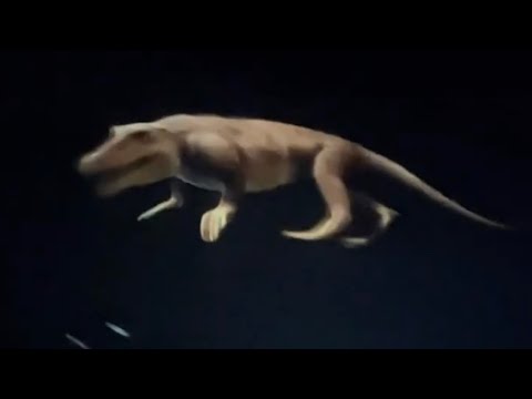 ペルーで発見された四本足の古代クジラ