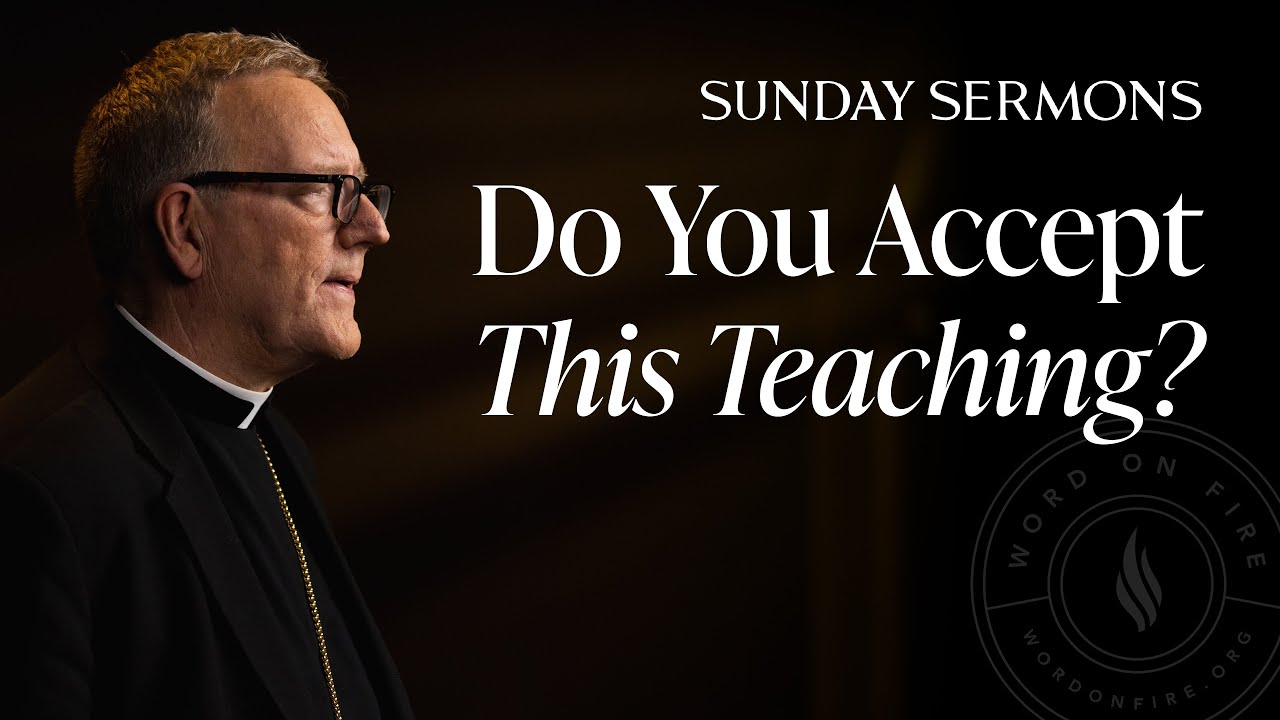 Do You Accept This Teaching? - Bishop Barron's Sunday Sermon