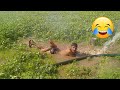 आज खेतों पर इंजन से नहाते हुए Today Bathing Vlog Viral