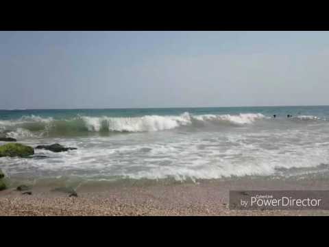 Sea of Bulgaria|Clips