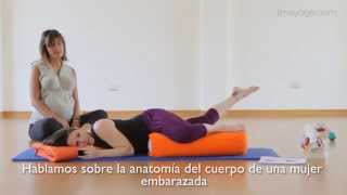 Profesorado de Yoga Prenatal /  85 hrs Yoga Alliance con Jennifer More