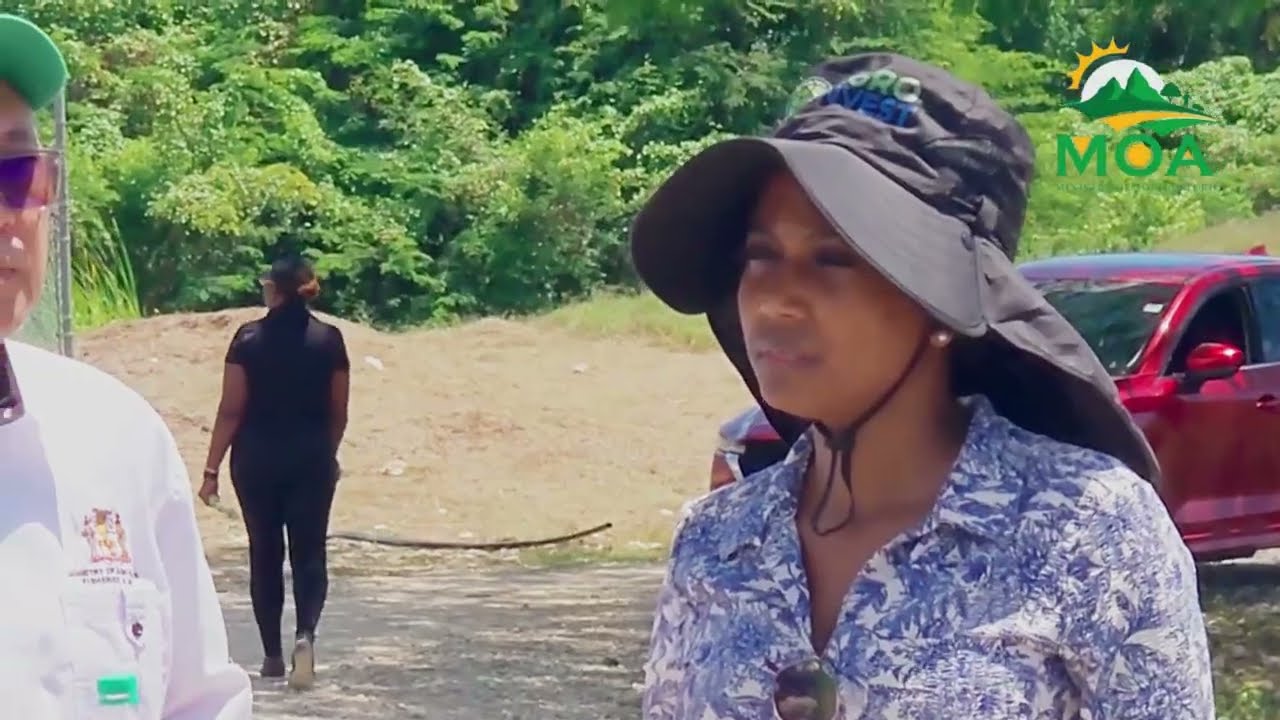News Report   Minister of Agriculture Visits Amity Hall Agro Park in Jamaica1