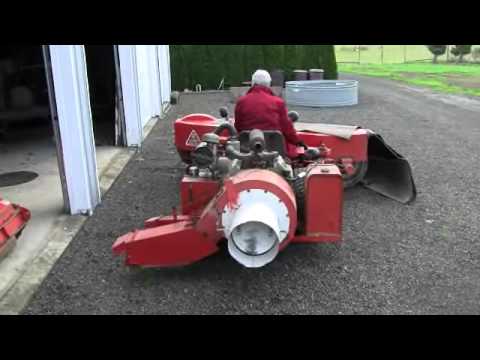 Chestnut Harvest at Allen Creek Farm