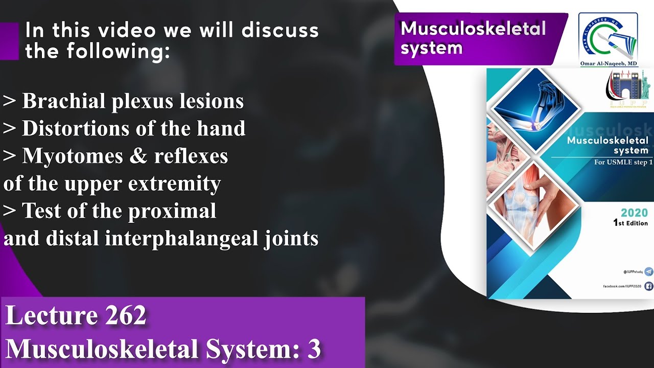 Brachial plexus lesions | Erb palsy | Klumpke palsy | Distortions of the hand | Ulnar claw