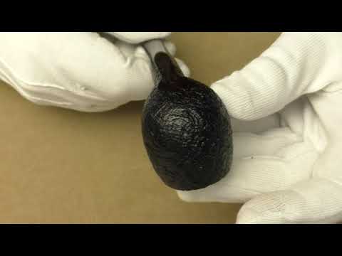 Dunhill Shell Briar 3101 - pipe D352