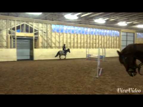 Kurre & Fanni Siltakorven valmennuksessa 18.1.2015