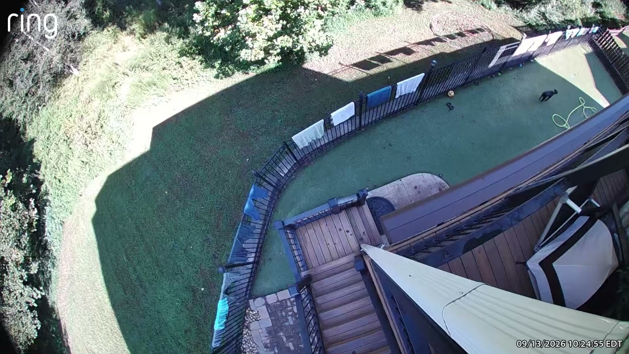 102-Pound Great Dane Takes a Wild Ride Down the Stairs || ViralHog