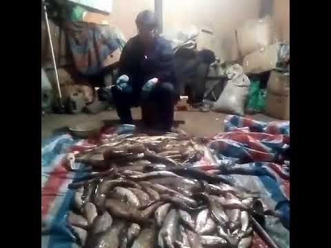 Нормальные мужики на рыбалке водку пьют, а мой рыбу ловит.