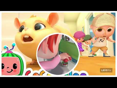 Lost Hamster + More Nursery Rhymes & Kids Songs - CoComelon | ACAPELLA