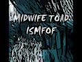 Midwife Toad - I Set My Friends on Fire (LYRICS ...