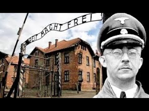 David Irving  - The Life and Death of Heinrich Himmler.