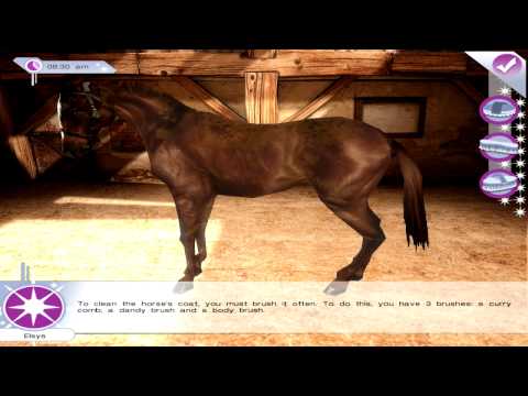 horse life 2 wii amazon