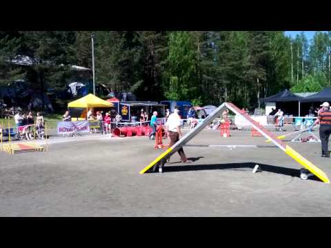 Esa & Viivi - 16.6.2012 Agilityn SM-joukkuekisat