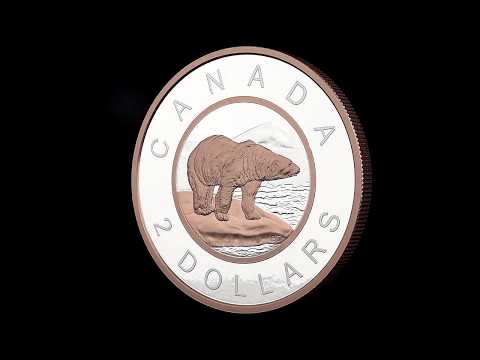 5 oz. Pure Silver Coin with Rose Gold Plating - 2018 Big Coin Series: 2-Dollar Piece