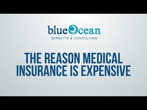 Branding, Website Design, & Video