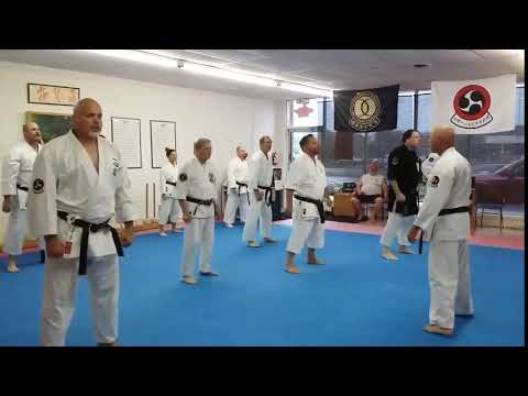Te no Bu of Isshinryu Karate