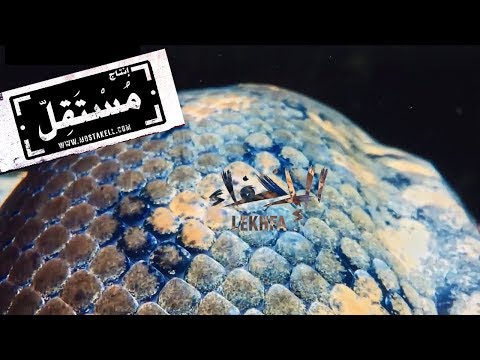 Maryam Saleh, Maurice Louca, Tamer Abu Ghazaleh | Mathaf Fonoun El Ghesh #Lekhfa [Music Video]