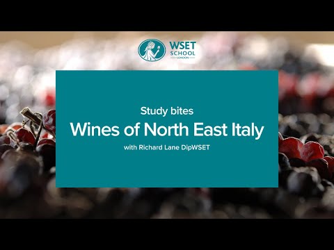Study bites: wines of North East Italy (WSET Level 3 wine)