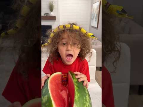 The brave sister - Sierra saved her sister from danger- always protect your sister