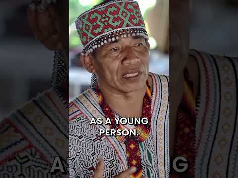 Cultural challenges for the Shipibo