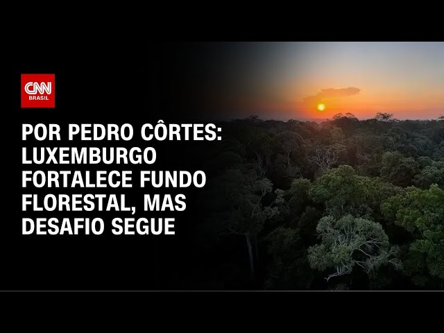 Luxemburgo fortalece fundo florestal, mas desafio persiste | CNN NOVO DIA