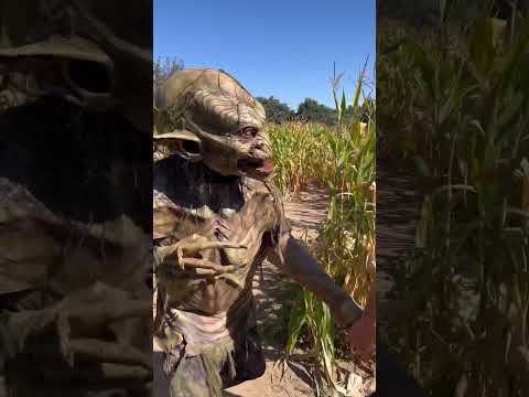 CREEPIEST MAZE IN THE WORLD 🌍 #shorts