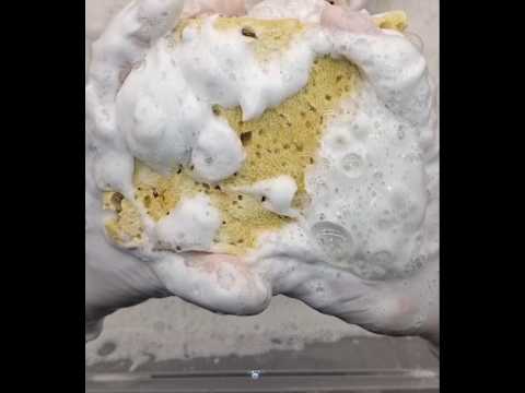 ASMR thick suds #spongesqueezing
