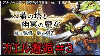 【アナザーエデン】ストーリーキャラで天蓋の塔と幽冥の魔女　邂逅【蘇る魔性　翻る剣先】#3【実況】