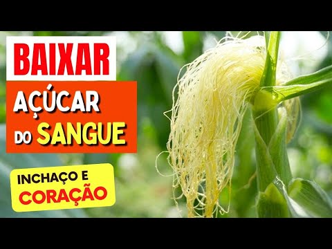 Planta para AÇÚCAR NO SANGUE, INCHAÇO e CORAÇÃO - Benefícios do Cabelo de Milho, Como Tomar e Dicas