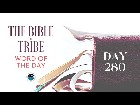 10–7–22 Day 280 True Rest (Bible Tribe Hebrews 4–6)
