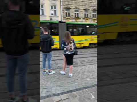Рожеві каштани на площі Ринок у Львові