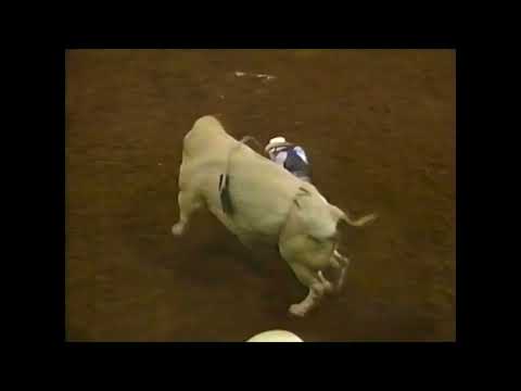 Bodacious bucks Daryl Mills - 94 PBR Guthrie