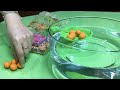 How To Float Clay In Water Clay Boat DENSITY And BUOYANCY Experiment STEM Activity For Kids